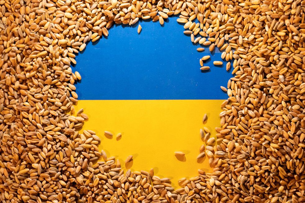an illustration of the Ukrainian flag covered by grains