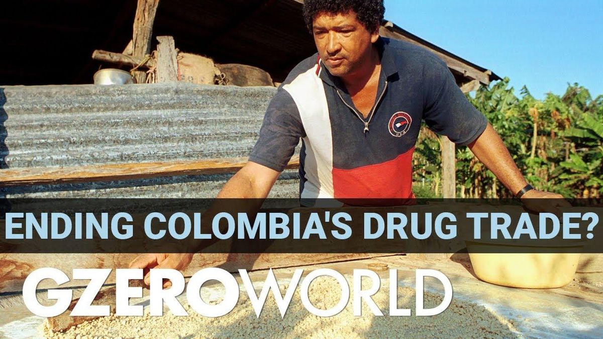 How to solve Colombia's cocaine problem