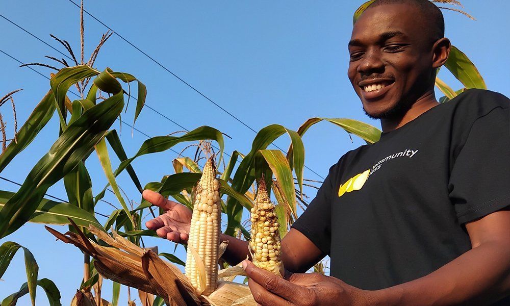 African farmer in a corn field