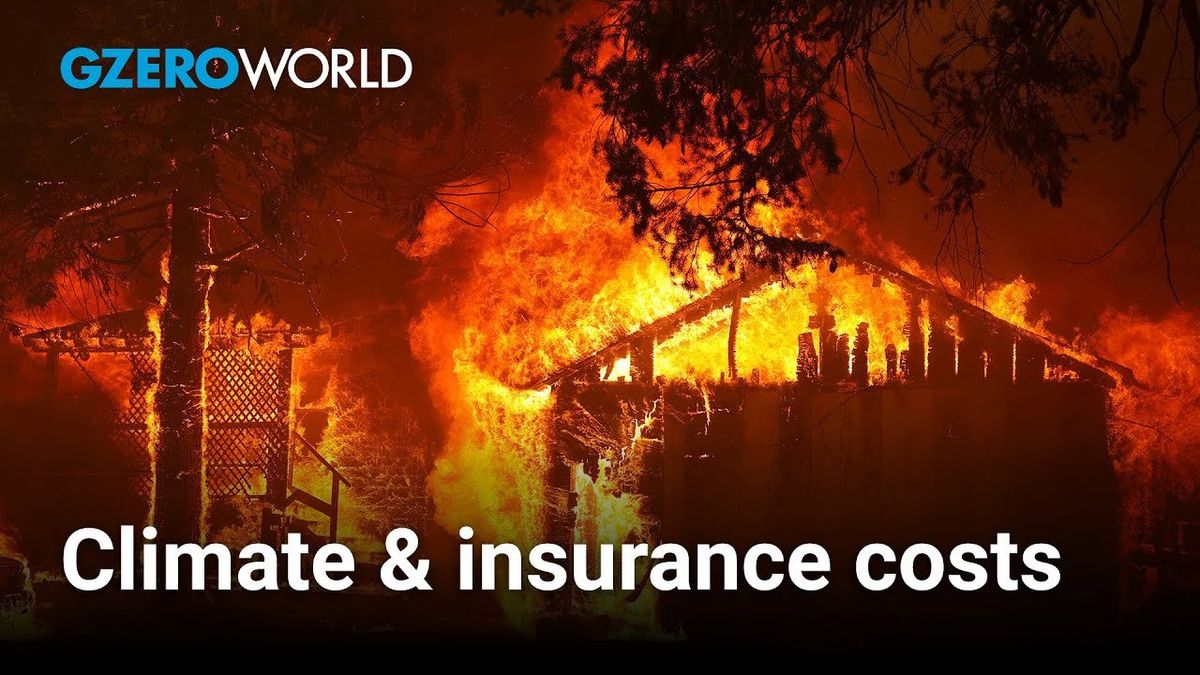 Insurance companies are feeling the heat of climate crisis