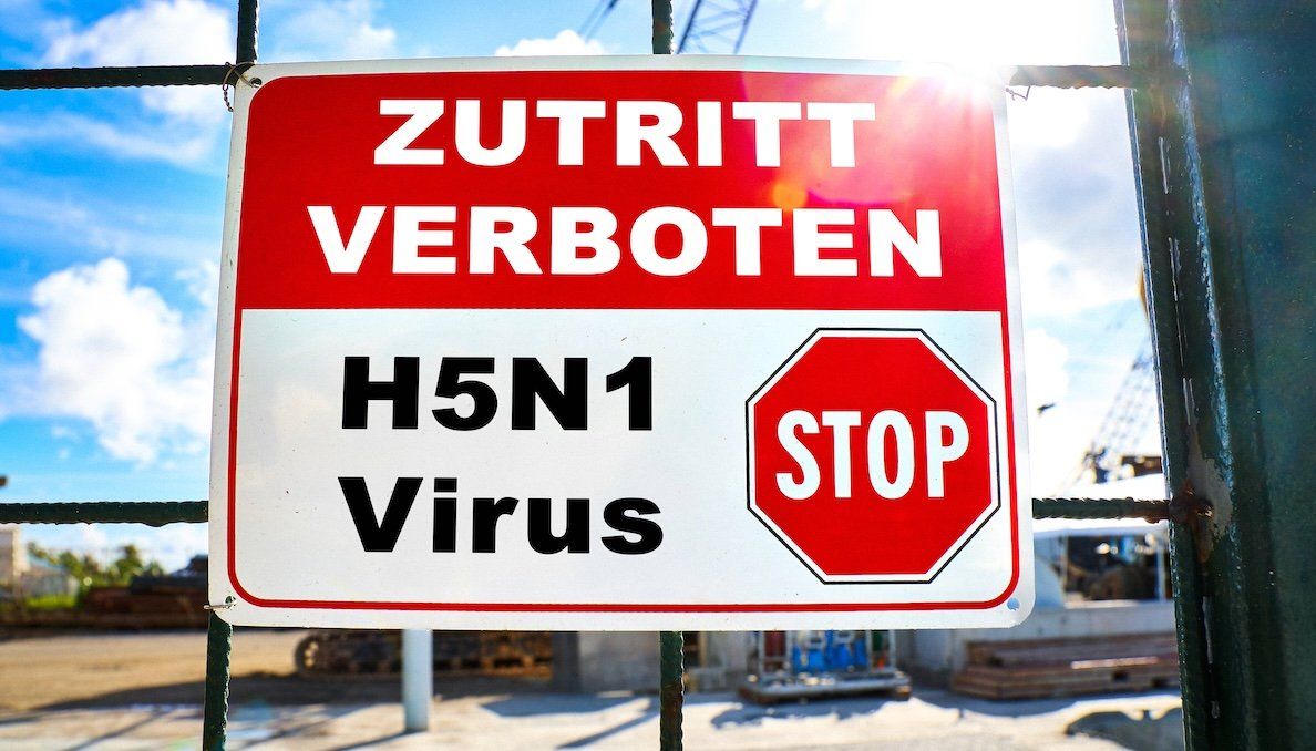 A bird flu warning sign and quarantine zone in Switzerland. 