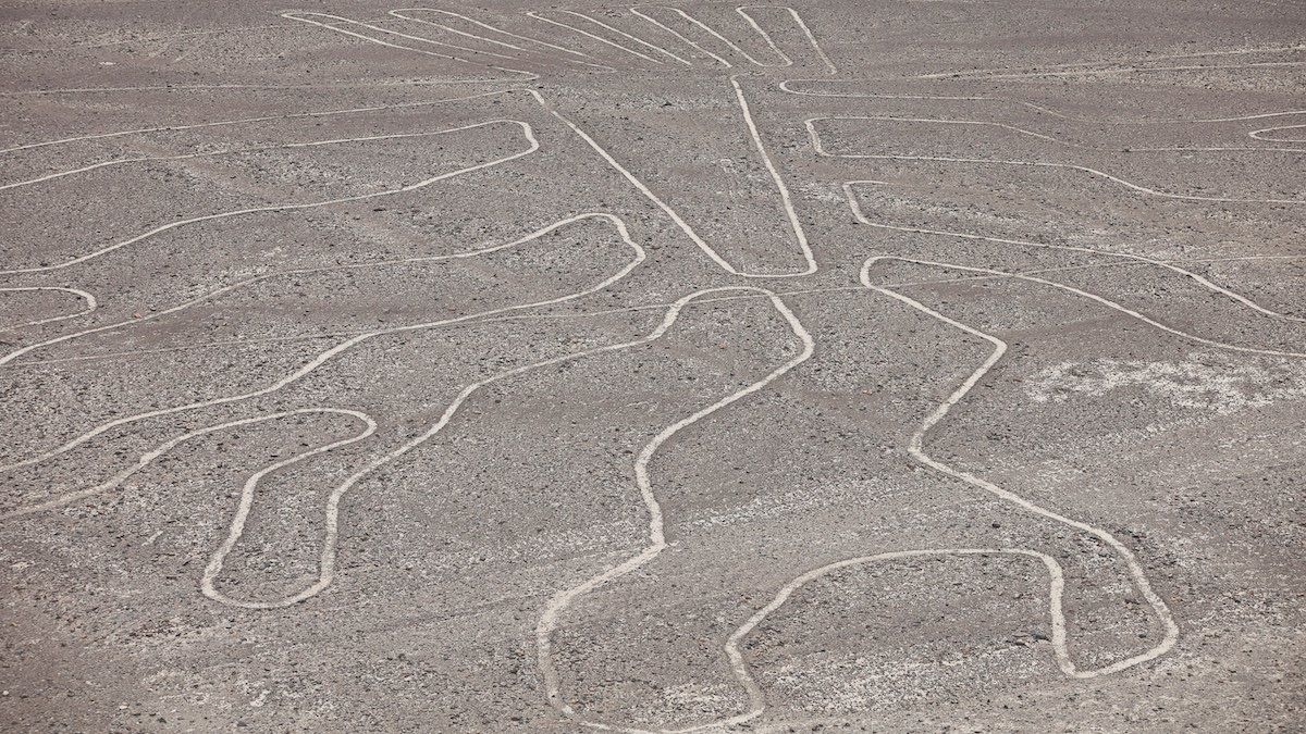 ​A drone view shows an ancient geoglyph depicting a tree at the Nazca Lines archaeological area in Nazca, Peru, January 18, 2024. 