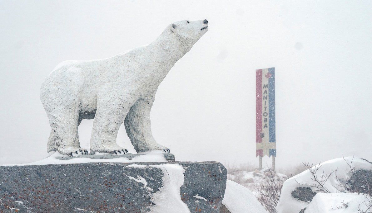 ​A polar bear statue is pictured during a blizzard in Churchill, Manitoba.