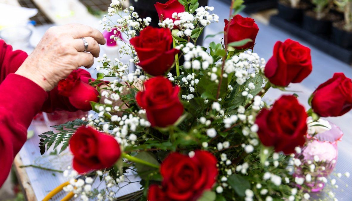 ​A volunteer florist adds baby's breath flowers to a Valentine’s Day rose bouquet on Thursday, Feb. 13, 2025.