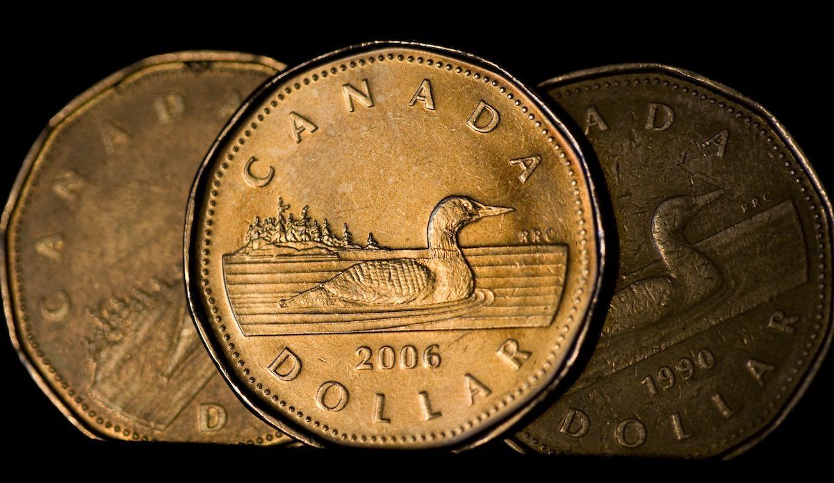 Canadian one dollar coins, also known as loonies, are displayed in Montreal, September 19, 2007. 