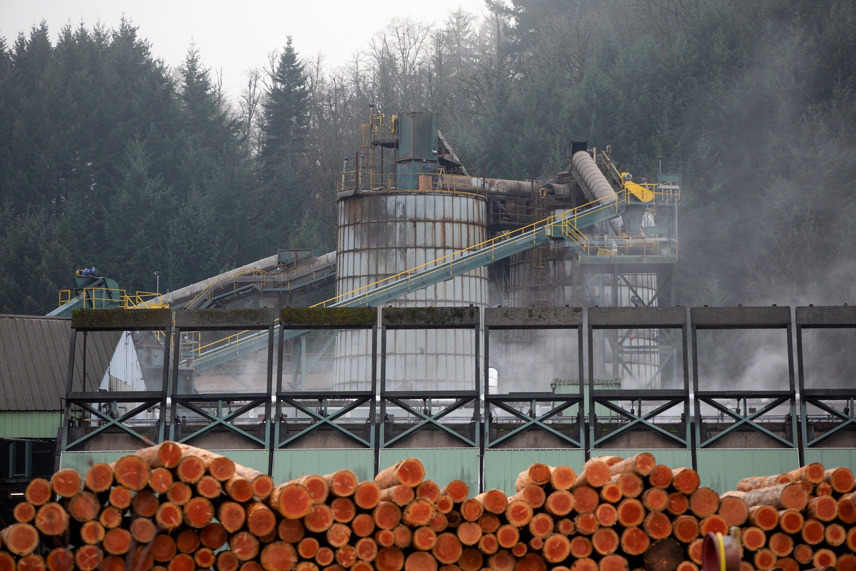 Logs and lumber are stored at one of the Freres Lumber facilities in Lyons, Oregon,