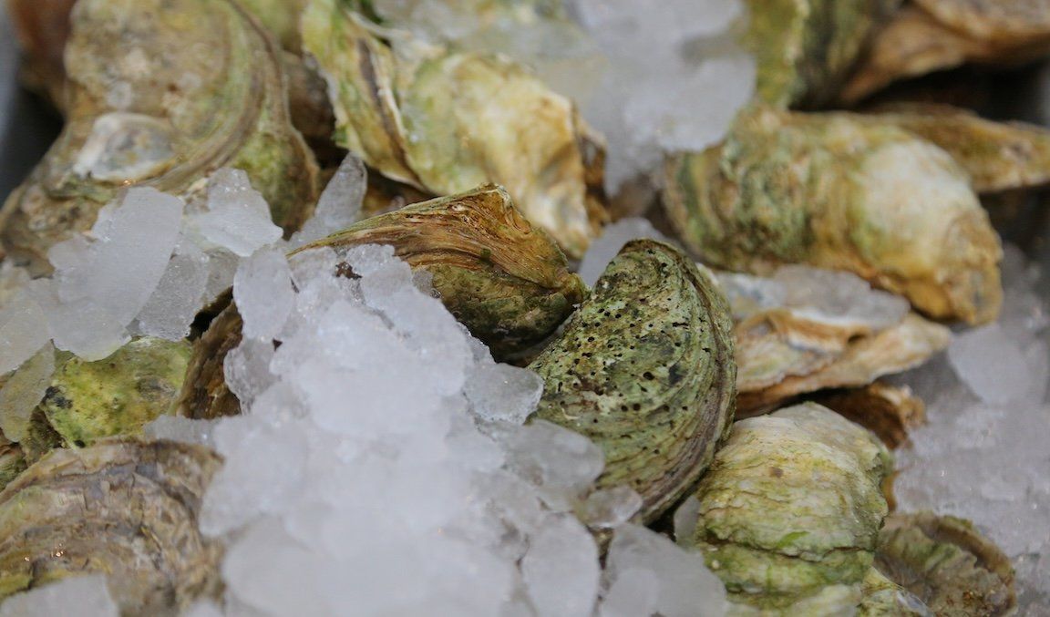 Oysters from Prince Edward Island are displayed in a Toronto market. 