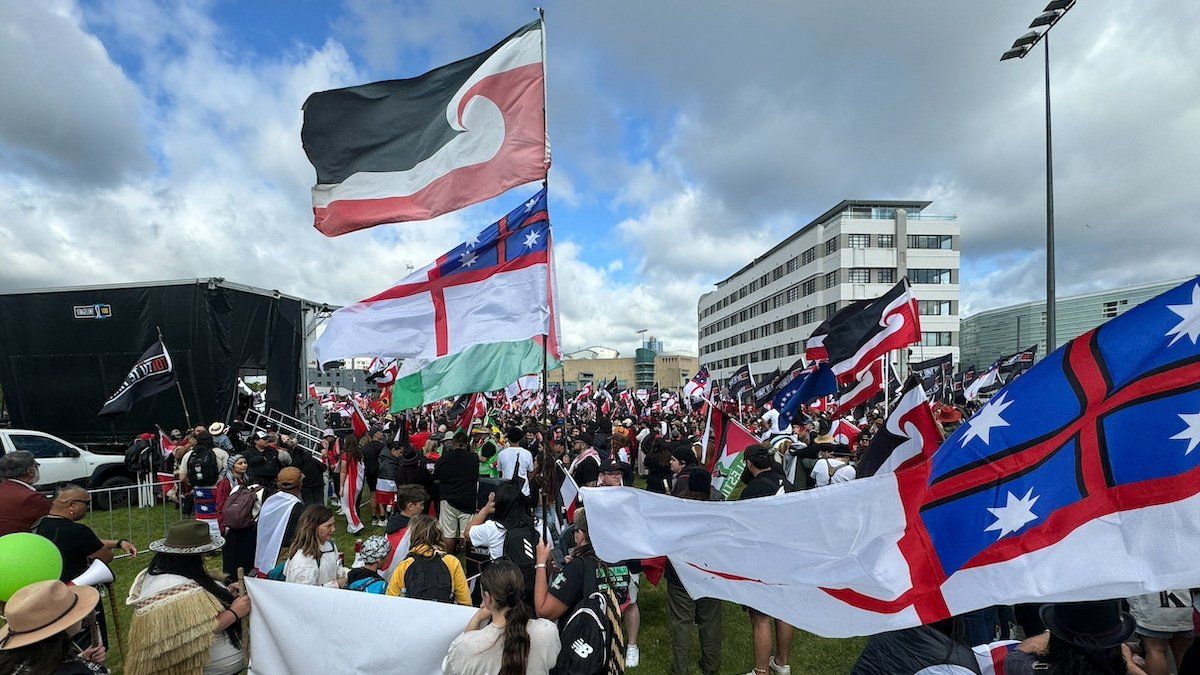 ​People gather ahead of a march to the parliament in protest of the Treaty Principles Bill, in Wellington, New Zealand, November 19, 2024. 