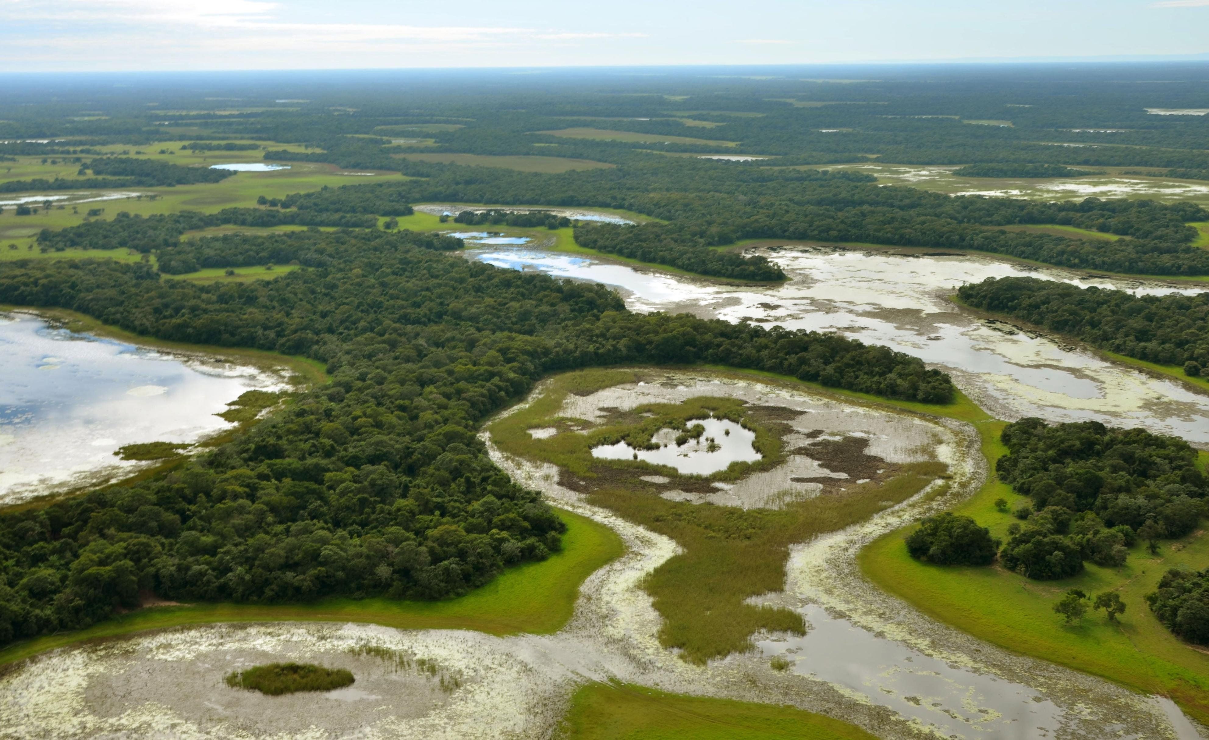 ​ Photo taken on April 22, 2012, shows the Pantanal wetlands in western Brazil. 