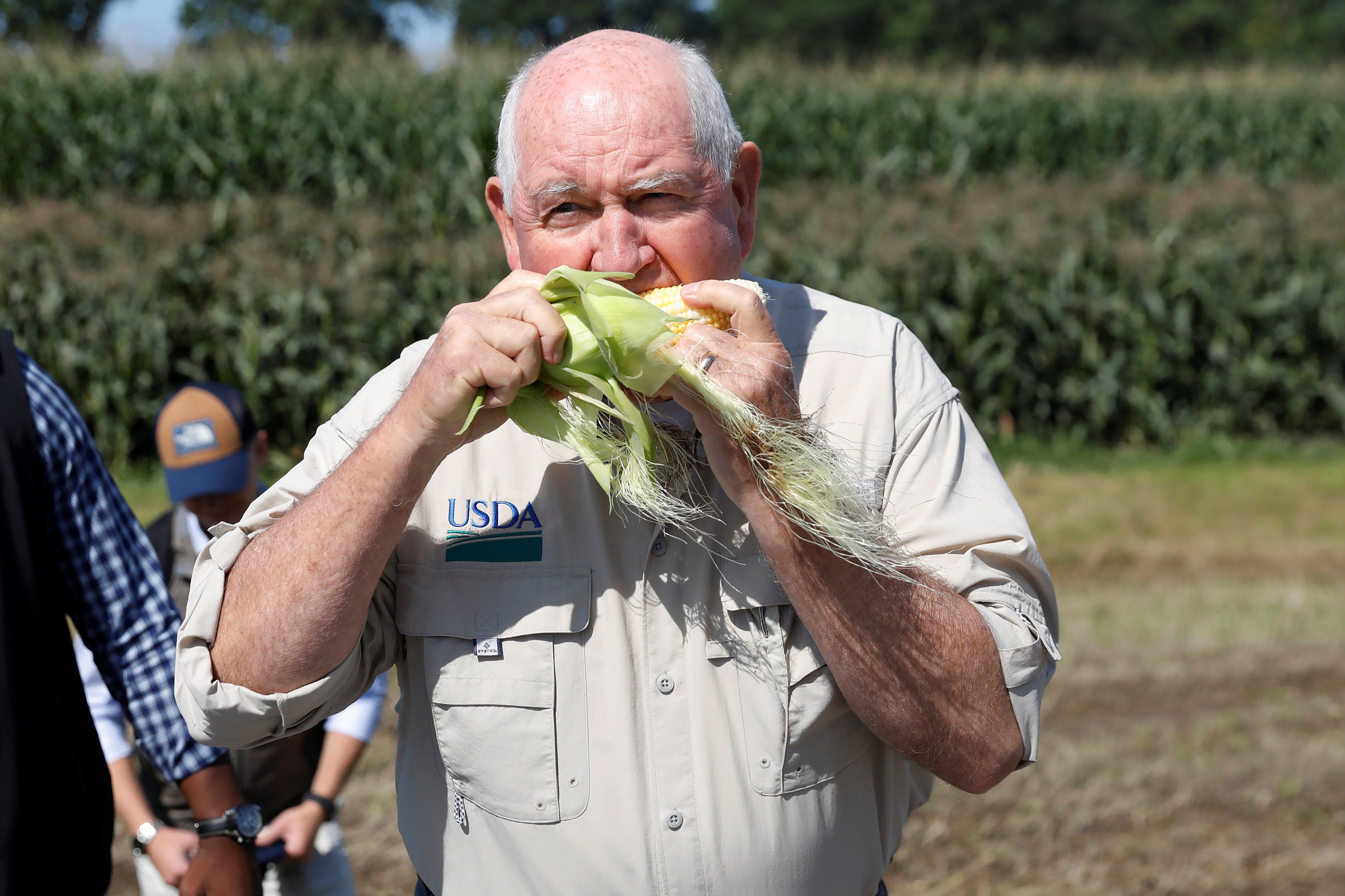 ​U.S. Agriculture Secretary Sonny Perdue eats an ear of corn at the Brabant Farms in Verona, New York, U.S., August 23, 2018. Picture taken August 23, 2018.