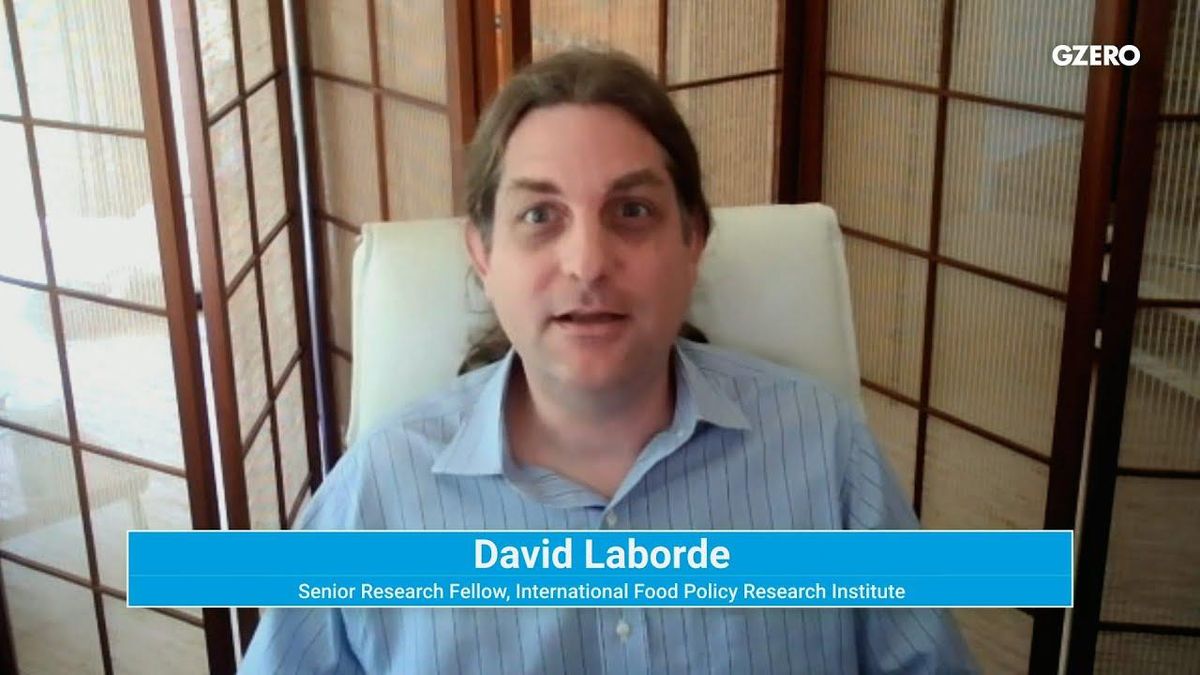 We've reached peak global food inflation, says IFPRI expert