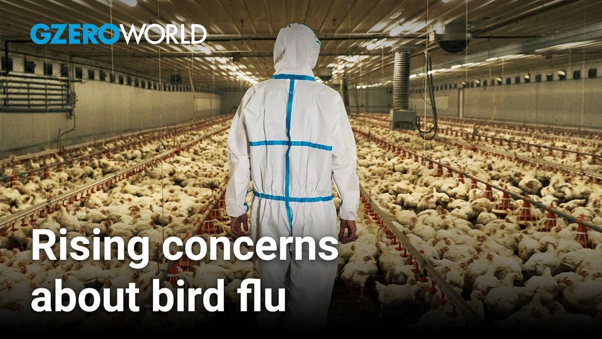 Should we worry about bird flu in the US?